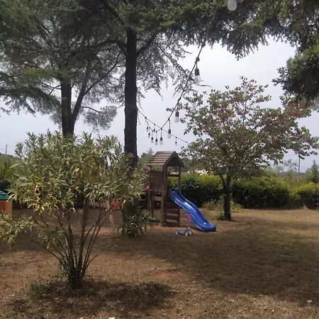 Antica Storia * מרטינה פרנקה